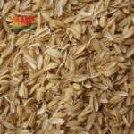 Trấu vỏ (Raw rice husk) (1)