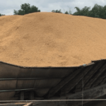 An Nguyên phát nhiên liệu lò hơi biomass