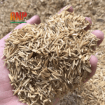 Trấu vỏ (Raw rice husk) (3)