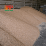Viên nén gỗ (Wood pellets) (3)