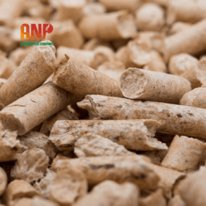 Viên nén trấu nhiên liệu sinh khối cho lò hơi công nghiệp - An Nguyên Phát