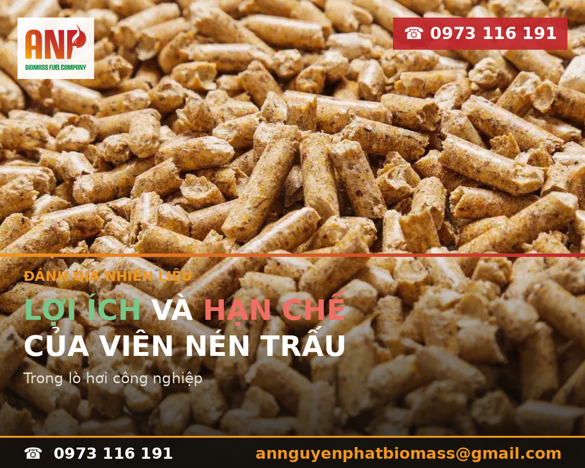 Lợi ích và hạn chế của viên nén trấu