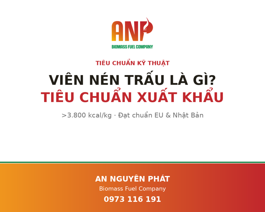 Viên nén trấu là gì? Tiêu chuẩn kỹ thuật đáp ứng xuất khẩu