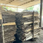 Củi Băm (5)