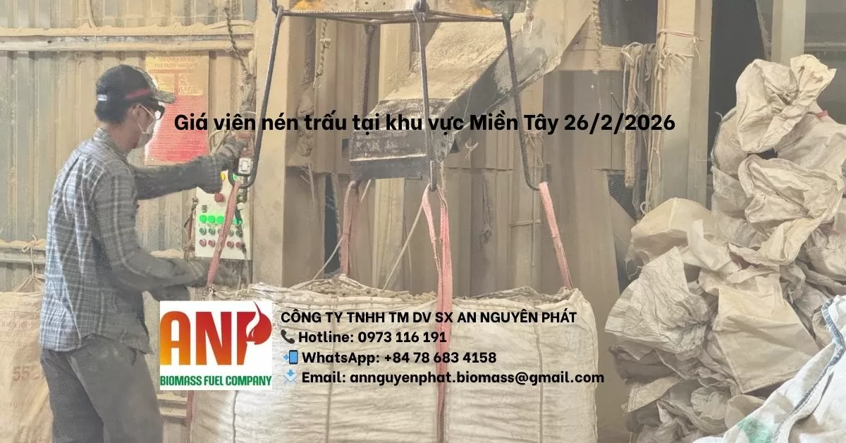 An Nguyên Phát nhiên liệu lò hơi