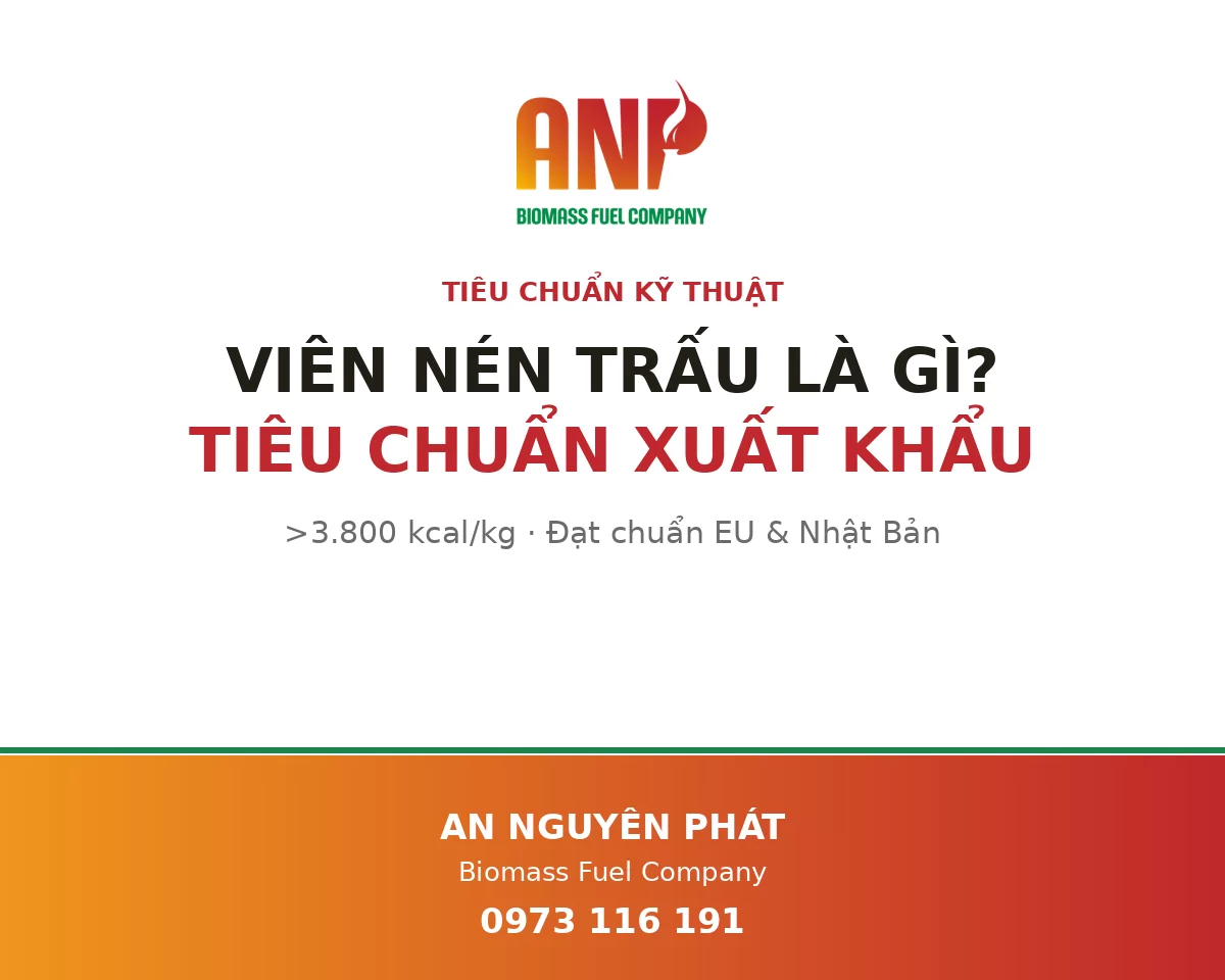 Viên nén trấu là gì? Tiêu chuẩn kỹ thuật đáp ứng xuất khẩu